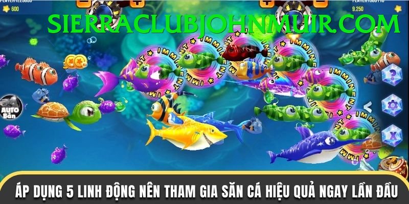 Game Bắn Cá Đổi Thưởng - Trải nghiệm tuyệt vời