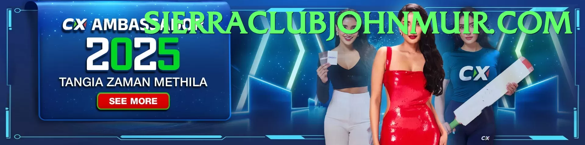 pgx555 responsivo - pk